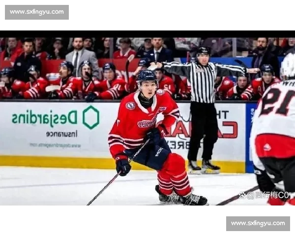 中国冰球里程碑:18 岁王浩西 NHL 第 33 顺位创亚洲纪录